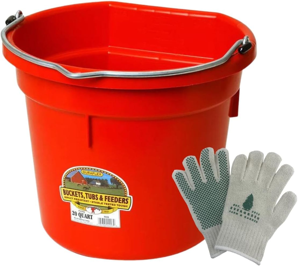 Little Giant Flat Back Bucket 20 Qt - Feed Livestock and Pets with Options of 12 to Choose from - Bundled by Evergreen Farm and Garden (Red)