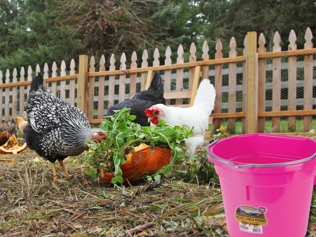 Little Giant Flat Back Bucket 20 Qt - Feed Livestock and Pets with Options of 12 to Choose from - Bundled by Evergreen Farm and Garden (Hot Pink)