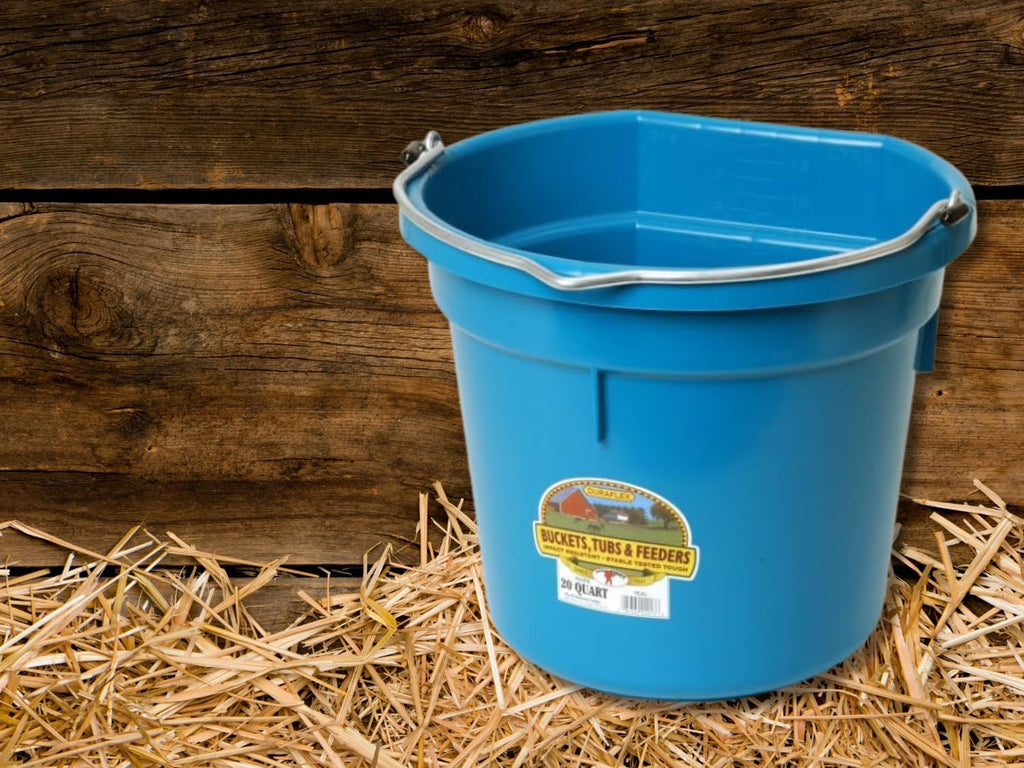 Little Giant Flat Back Bucket 20 Qt - Feed Livestock and Pets with Options of 12 to Choose from - Bundled by Evergreen Farm and Garden (Teal)