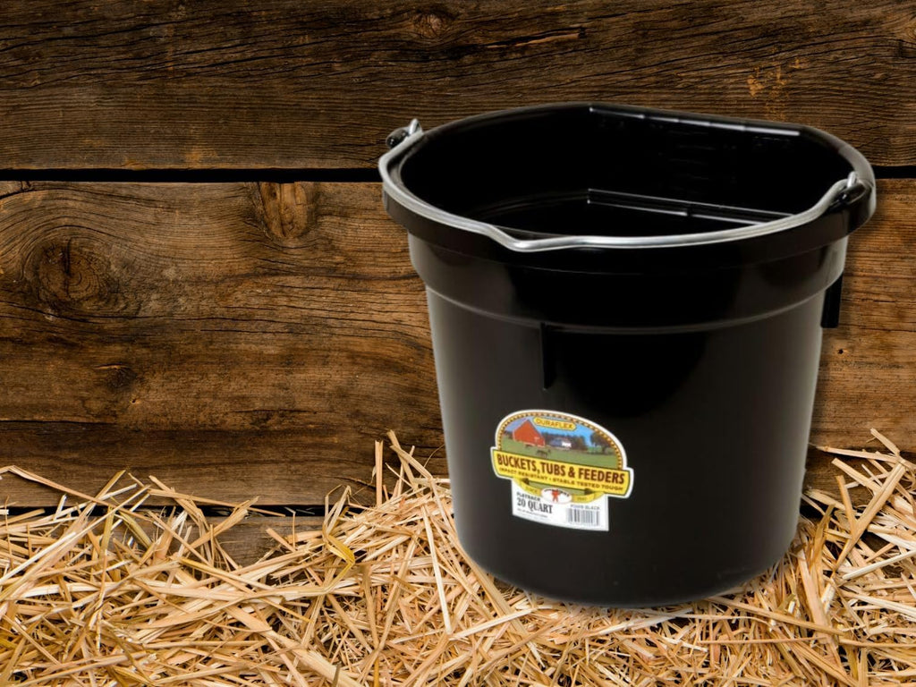 Little Giant Flat Back Bucket 20 Qt - Feed Livestock and Pets with Options of 12 to Choose from - Bundled by Evergreen Farm and Garden (Black)