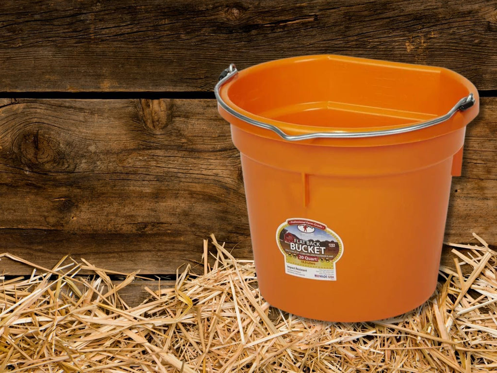 Little Giant Flat Back Bucket 20 Qt - Feed Livestock and Pets with Options of 12 to Choose from - Bundled by Evergreen Farm and Garden (Orange)