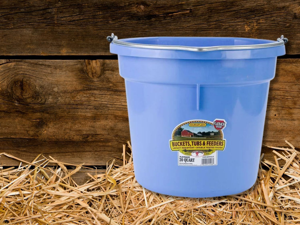 Little Giant Flat Back Bucket 20 Qt - Feed Livestock and Pets with Options of 12 to Choose from - Bundled by Evergreen Farm and Garden (Berry Blue)