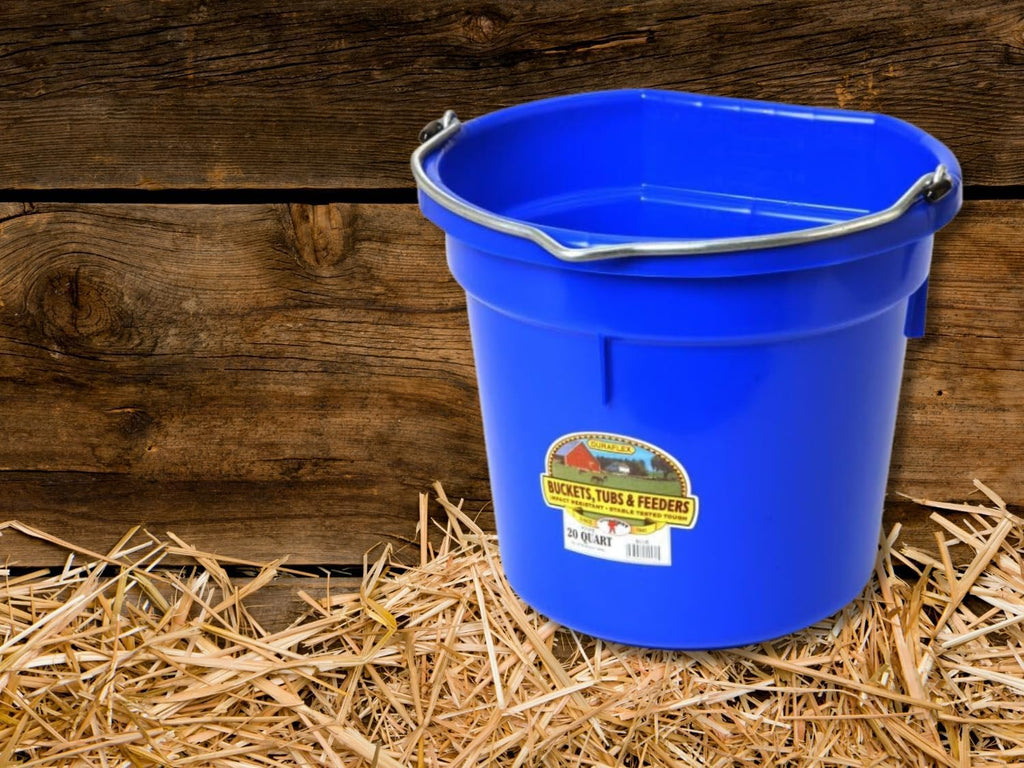 Little Giant Flat Back Bucket 20 Qt - Feed Livestock and Pets with Options of 12 to Choose from - Bundled by Evergreen Farm and Garden (Blue)