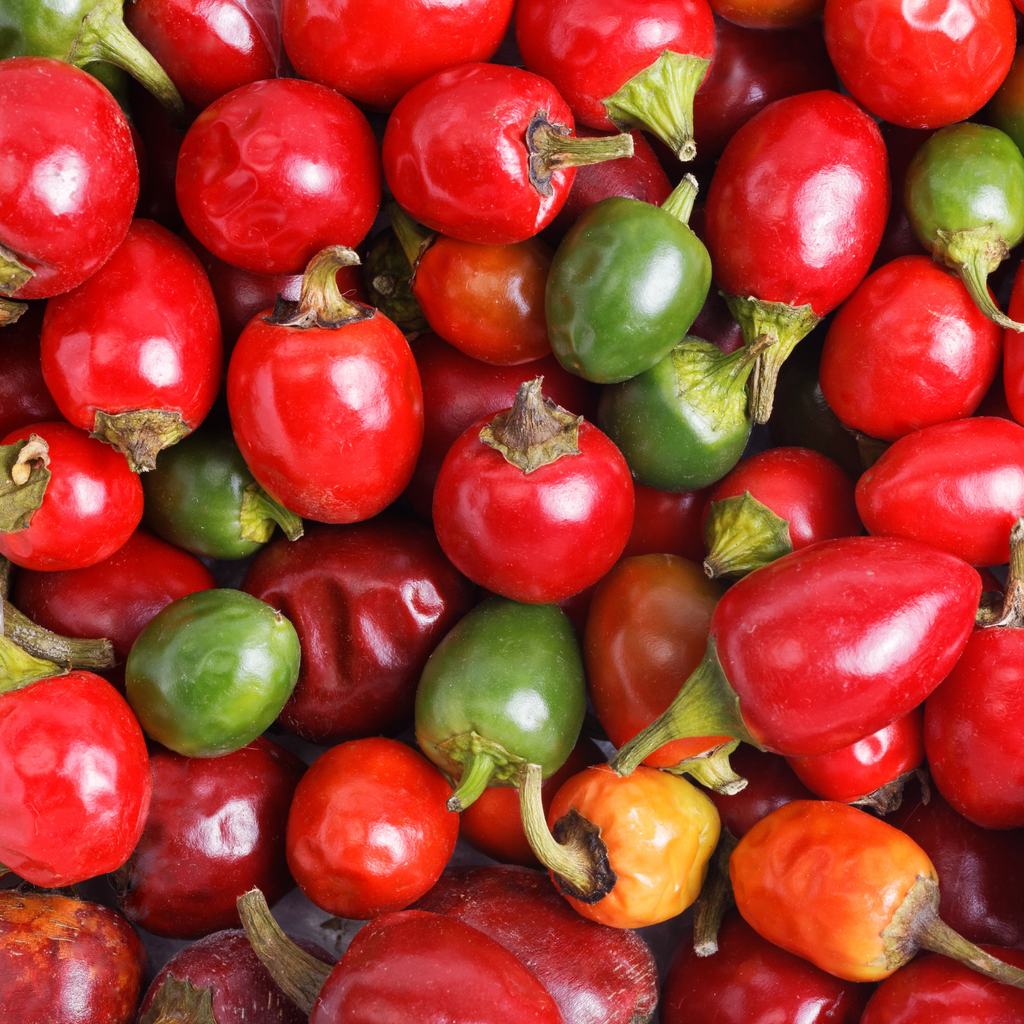 Pastene Hot Cherry Peppers (6 Pack)