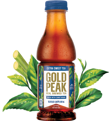 Gold Peak Extra Sweet Tea 12 Pack 18.5 Oz